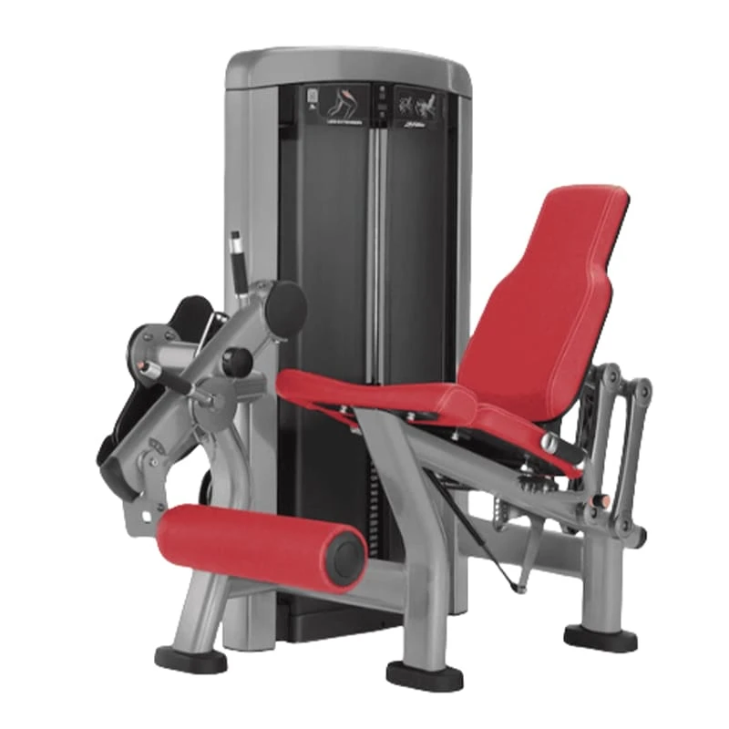 Seated Leg Extension