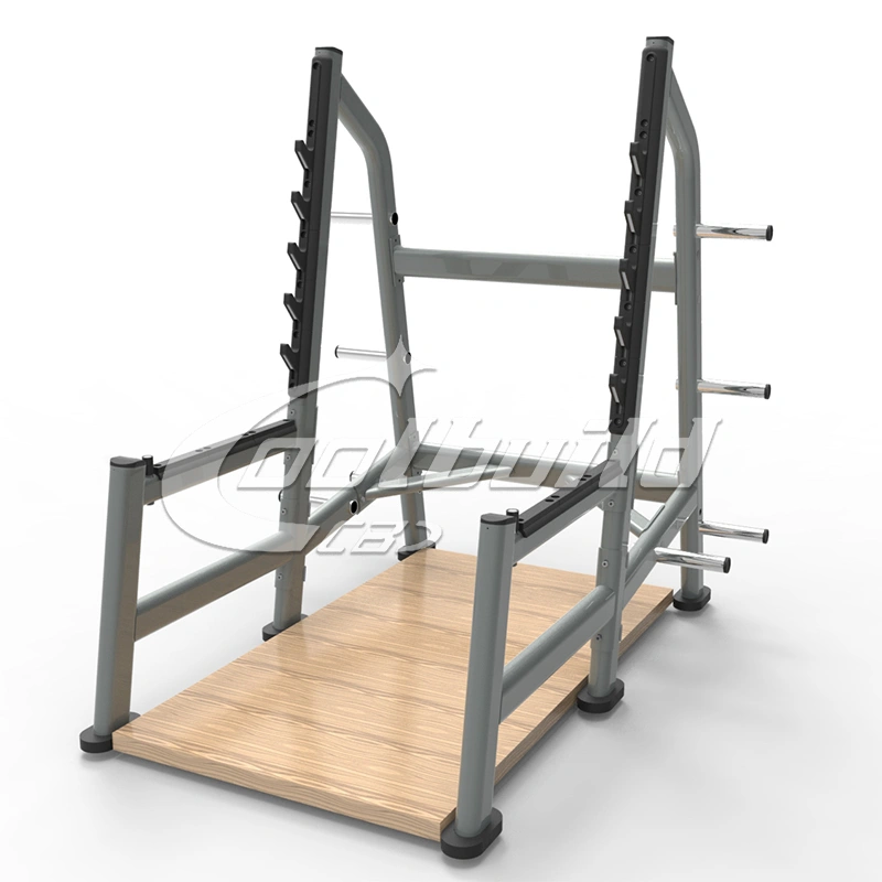 Squat Rack ( weith lifting Platform)