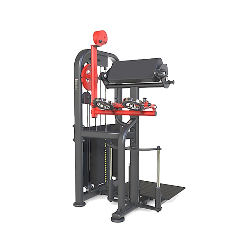 Standing Multi Rotary Arms Curl