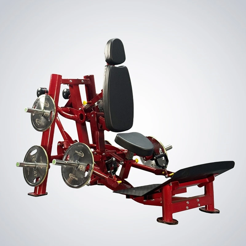 Bidirectional squat trainers